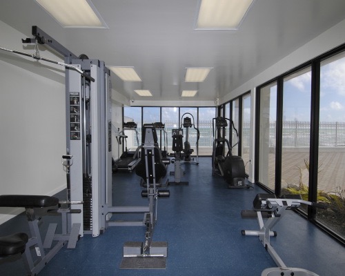 Alexander gym